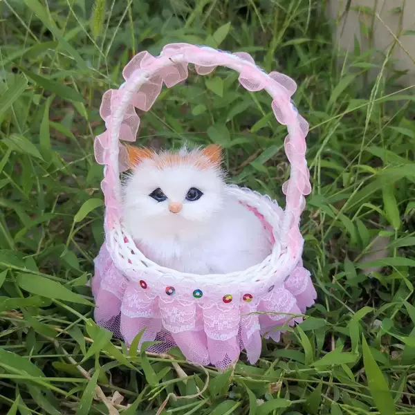 Yellow -eared cat