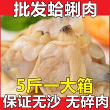 变质包退蛤蜊肉冷冻蛤蜊文蛤贝壳肉蛤蜊肉海产无沙冷冻海鲜批发