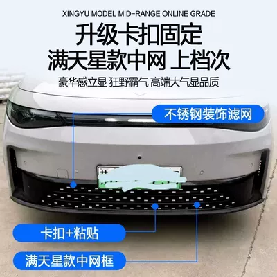 Models of Leapmotor C16 Insect-Proof Net, Automobile anti-insect net