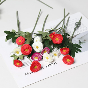 ��K�շ��滨����С�ջ�Ұ�ջ��Ҿӿ͏d�����廨��������f�۾�