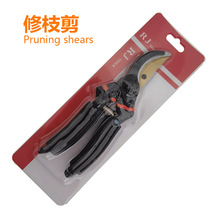 �羳��֦�����@�ֻ�ˇ�޼���֦������������ִ󻨼�@ˇ���ӹ���