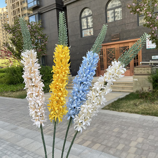 ��֧���y��  ����  ��c��Y���b�֦�ٻ�  �S�����l