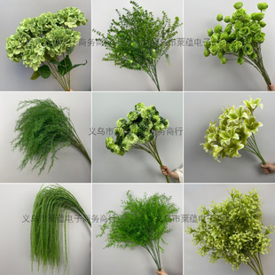 cˇGֲPβ~ȼXݲþGɫϻY