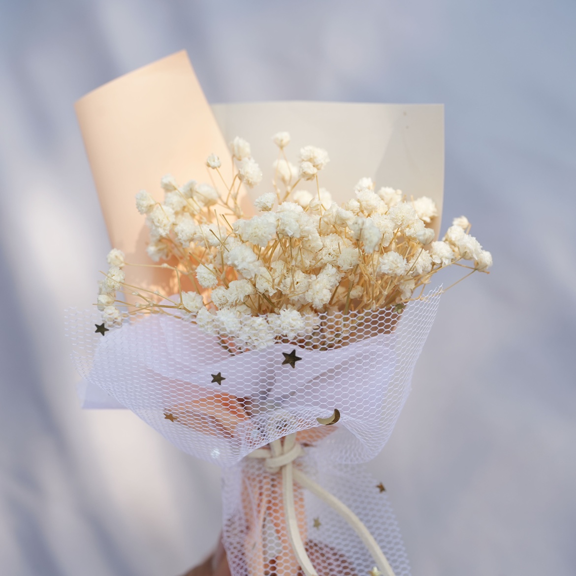 화이트 스타 미니