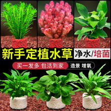 �~��ˮֲ�����ɽʯ�쾰���G����������ˮ�|��С�~���ײ�