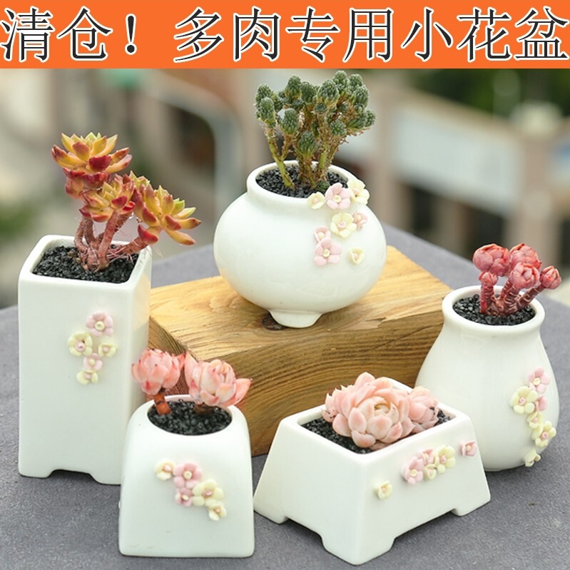Simple Plant Succulent Flower Pot Ceramic Wholesale Small Thumb Pot Pinch Flower Breathable Coarse Pottery Large