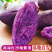 裕禄红农家自种紫罗兰紫薯 新鲜现挖现发 沙地紫红薯软糯香甜无丝