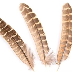 �S�����lĸɽ�u�C����ë���l�Bֳɽ�uëӡ�ڰ��^��������b�