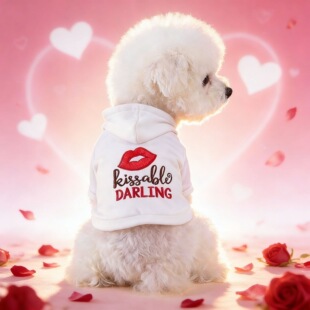 PETCIRCLE���ﴺ��С��Ȯ��Ȯ��؈��ĸ�t���H�H��ؐ���˹��l��