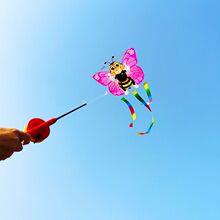 �ӑB�L�~���l�~���L�~����ӑB���ӷ��w�r����S�L������������