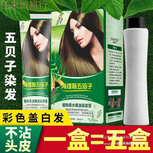 大五贝子植物染发剂染发膏女流行发色显白盖白发纯