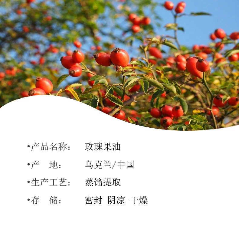 Масло шиповника Масло растительное масло Косметика Базовое масло Домашнее масло Масло Масло Розы Масло Базовое масло Массажное масло Сырье