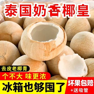 正宗泰国进口奶香椰皇椰王小椰子批发新鲜去皮椰青水果煲汤4/7个-阿里巴巴