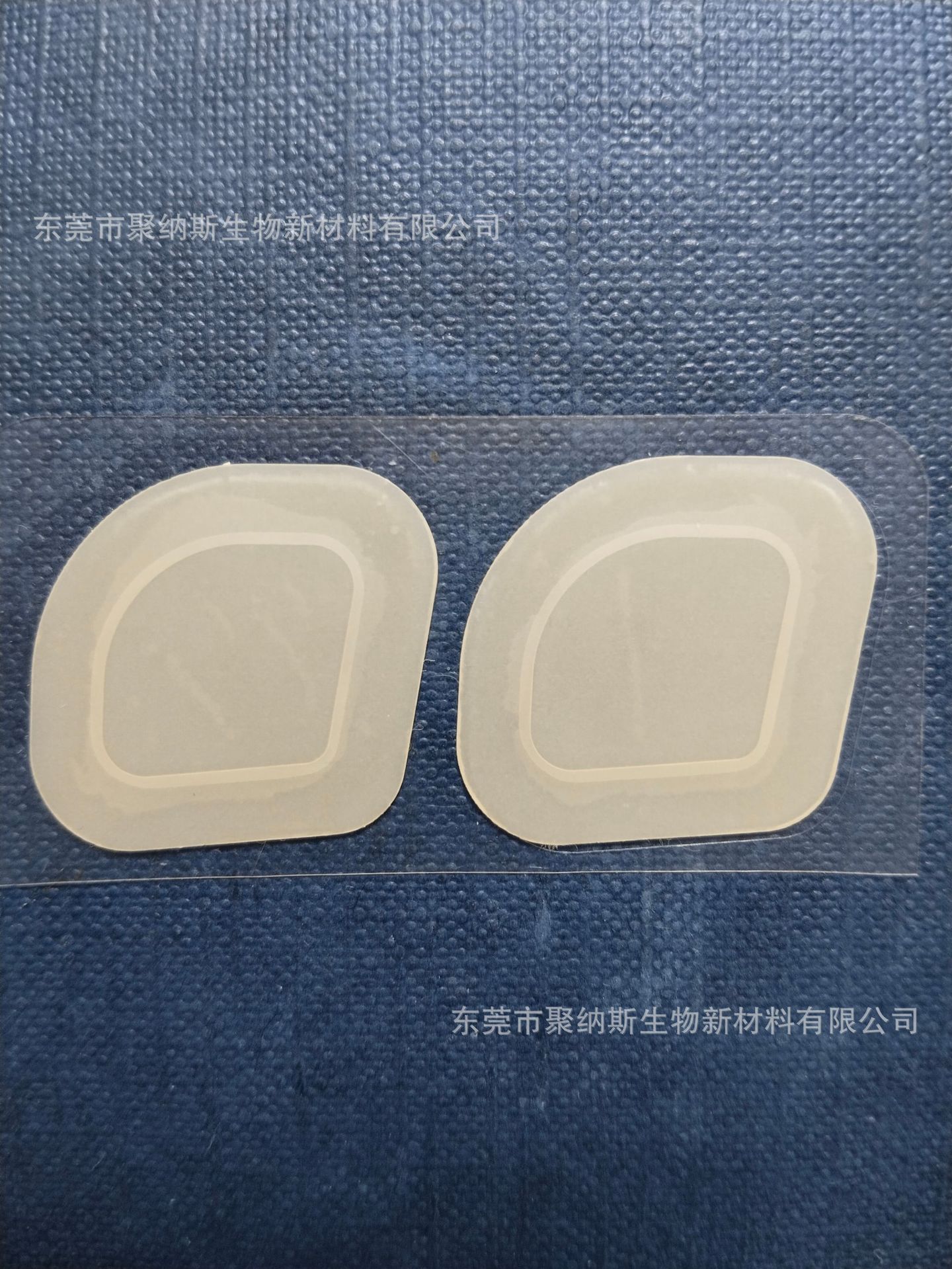 微信图片_20241224162408