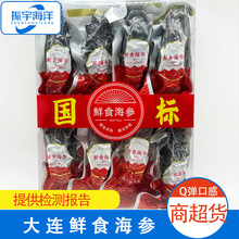 国标大连鲜食海参礼盒 冷冻即食海参 大连鲜食海参源头厂家