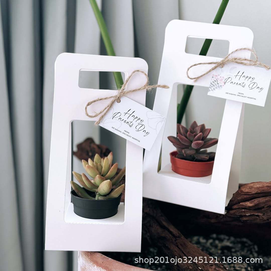 小小盆栽无挡板 (5).jpg