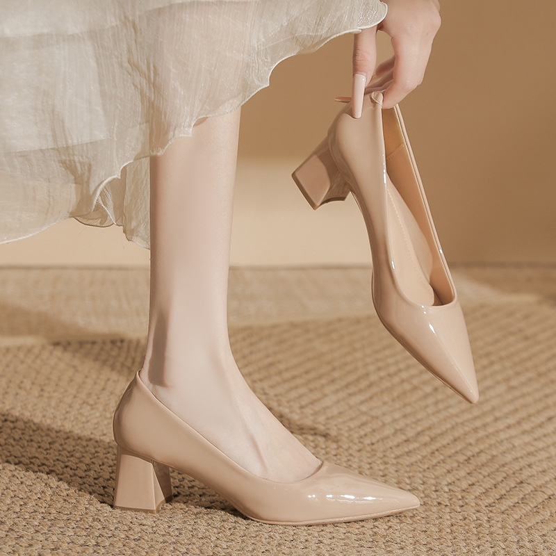 French Pointed Toe Super Soft High Heels 2025 Spring & Fall New Style Non-Tiring Feet Interview Professional Shoes Shallow Thick Heel Flats for Women