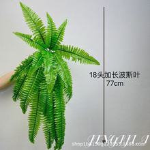 羳21^18^˹~ڒާֲÿ͏d͏dbGֲ