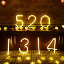 LED�l����ĸ���޺������늸������Ô[���ưɹ����Ɍ�����b�