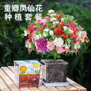 �P�ɻ��N�����bС�W���ƌW����^��ָ�׻���ͯ�NֲС����ֲ��N��