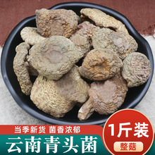 青頭菌干貨雲南特產新貨梨菇綠豆菌菌類蘑菇煲湯材料干菌菇批發