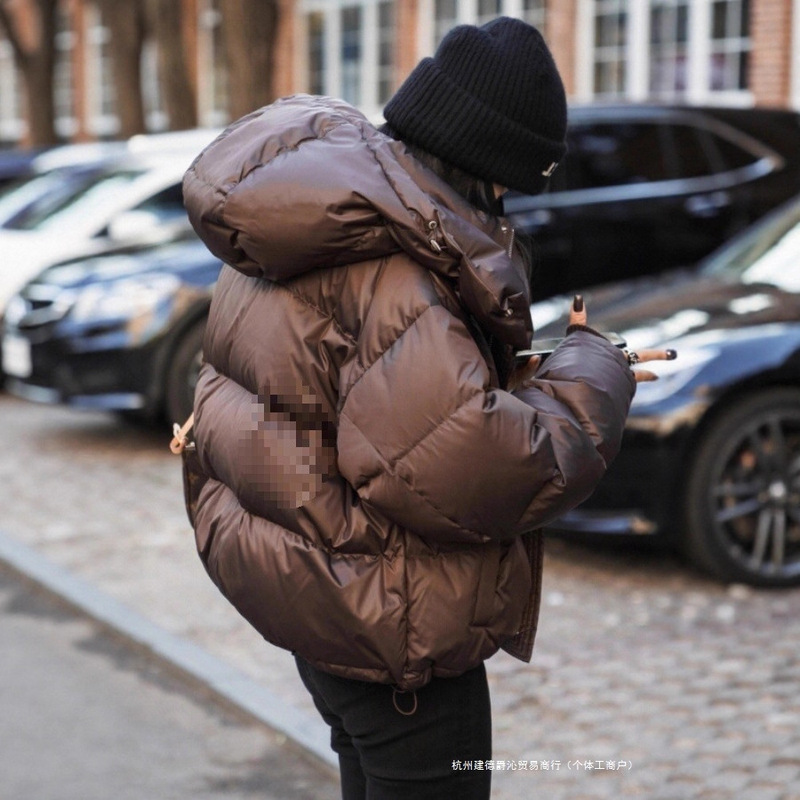 Winter Petite Chocolate-Colored Hooded Short down Jacket for Women, Vintage Hong Kong Style Lightweight Puffer Jacket