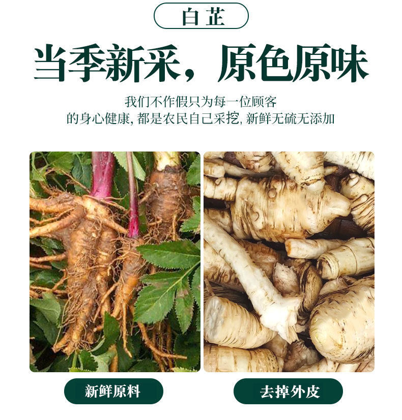 Dried Angelica Dahurica Slices Bai Zhi 500g Bulk Chinese Herb for Cooking and Decoction quality and texture