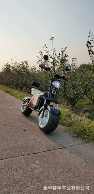 motorcycle citycoco, Elektrikli motosikletlər
