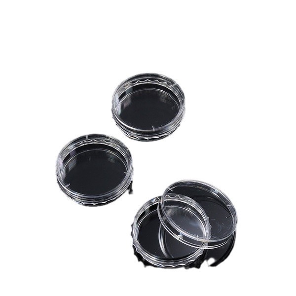 2024-12-04 13:07:06.jpg