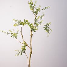 �羳���N������X�~��֦�ٽ�֦���~֦DIY�ֹ�ˇ�廨�Ҿ������b�