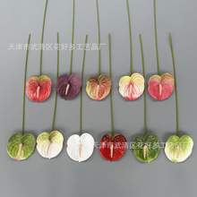 ���滨3D��ӡ�ָ�С�t�ƻ�c�Y�üҾӕ����b���Gֲ�羳С�Z��