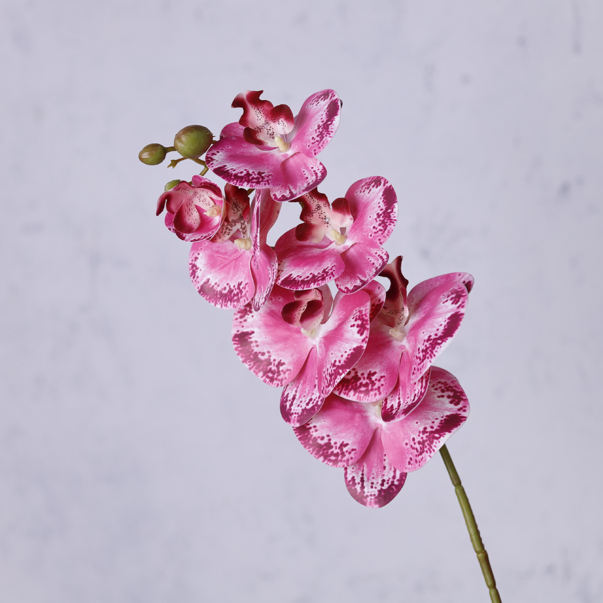 Impresión 3D de 7 cabezas de orquídeas mariposa flor de decoración de flores de alto nivel flor de nicho decoración floral decoración de sala de estar