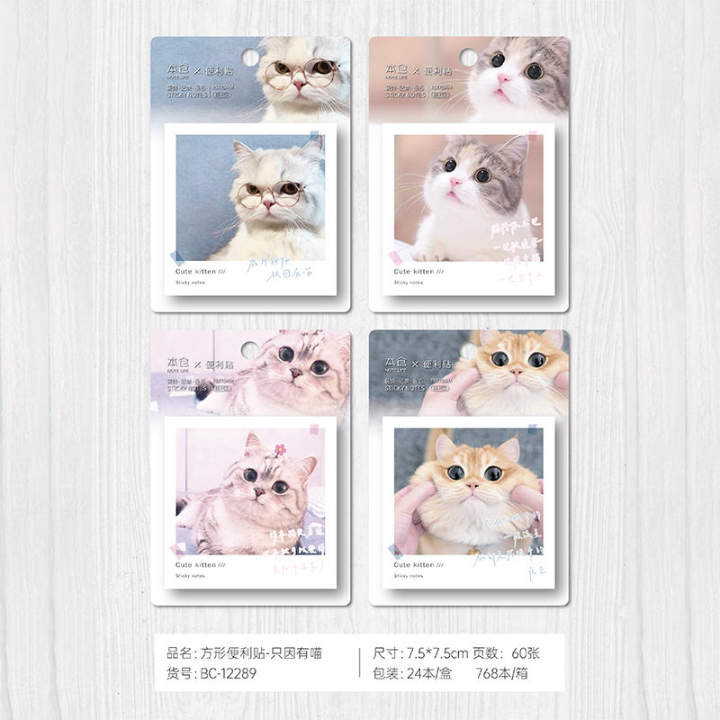 야옹이 있기 때문에