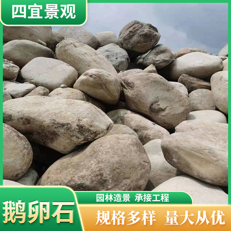 批发园林景观石 鹅卵石 溪坑石 河岸石 黄色鹅卵石