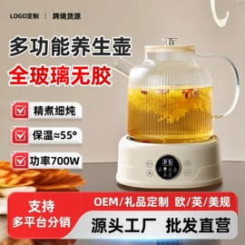 养生壶;电炖锅;电煮锅