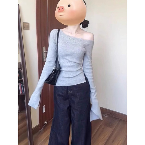 Women's Gray Cross-Shoulder Long-Sleeve Top for 2025 Autumn - Design Slimming and Body-Concealing Pure Desire Seductive Basic Tee
