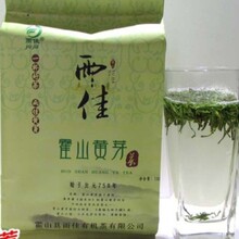 2026新茶霍山黄芽 春茶 黄茶 家用 耐泡小包装茶叶
