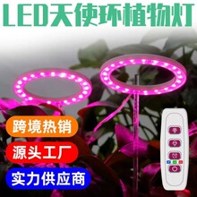 �羳����ledֲ��������ȫ�������ڻ����߲�ֲ�ﲹ���������ֲ��