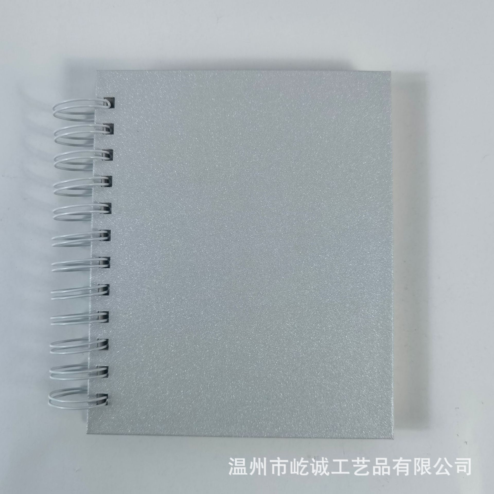인화점 그레이(B형 소책자)