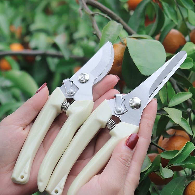 M&不锈钢树枝修枝剪采摘水果花木剪园林果树花卉枝嫁接园艺剪刀工