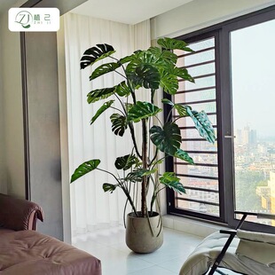 ����Gֲ�߼��ָ��������k���������b��͟Ꭷ��ֲ��ϲ�������l