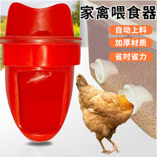 跨境家禽自动喂食器鸡鸭喂料器鸡用料桶重力鸡食槽鸡用喂料口批发