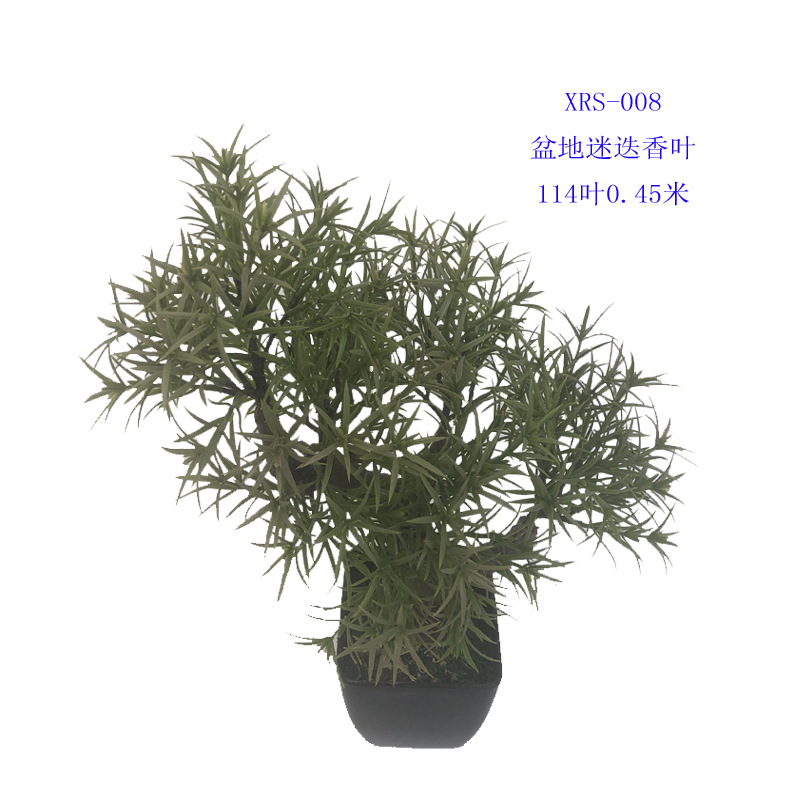 XRS-008 盆栽迷迭香叶0.45米