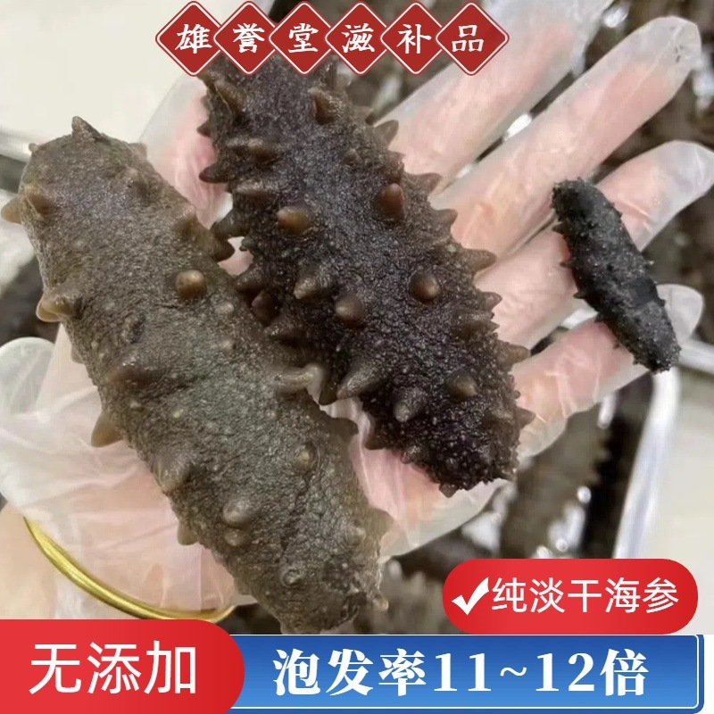 大连纯淡干海参干货深海刺参开肚辽参30头/40头/50头滋补品批发