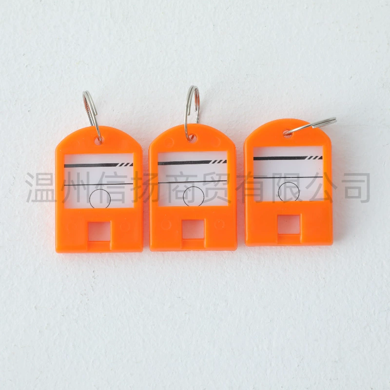 Plastic removable keychain for keys for office