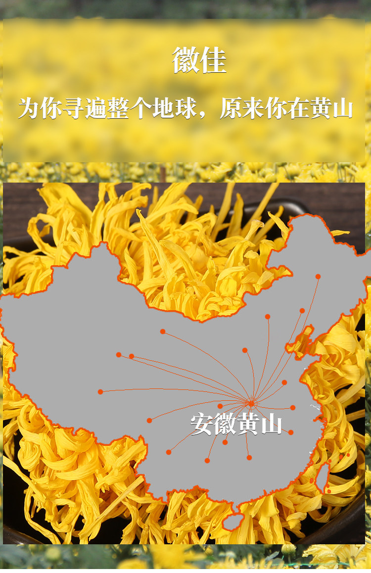 Dried Chrysanthemum Tea Golden Silk Imperial Chrysanthemum Whole Flower Loose Herbal Tea 500g specifications