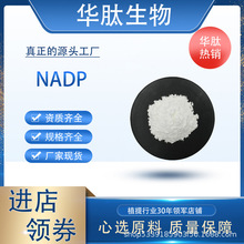 NADP 99%氧化型辅酶Ⅱ钠盐烟酰胺腺嘌呤双核苷酸磷酸盐1g/袋 包邮