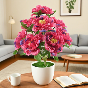 �x���������滨�S�����lĵ�����滨���G֦��10�^ĵ�����潁������