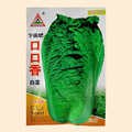 口口香秋季高产抗病白菜种子抗病10克大包装口感好包心菜种蔬菜种