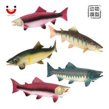 仿真海洋鲑鱼动物模型 三文鱼大马哈鱼 儿童认知玩具摆件礼物手办